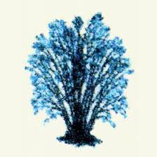 Le coudrier éditions