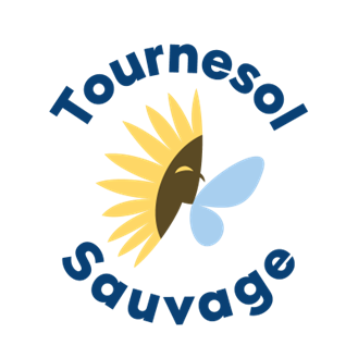 Tournesol Sauvage